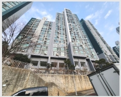  2024Ÿ67575 λ λ 53 62, 312 4402ȣ (簨,Ǫä)    Ʈ