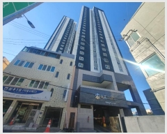  2024Ÿ��39  ���ǽ��ڰ��