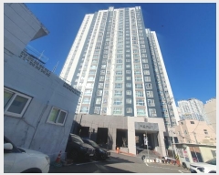  2024Ÿ��39  ���ǽ��ڰ��