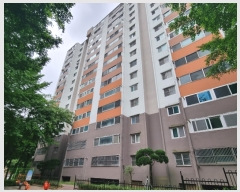  2024Ÿ��55374  ����Ʈ���