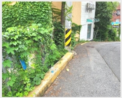  2024Ÿ��58007 �λ� ������ ���ﵿ 235-12       ����(����)���