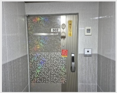  2024Ÿ��58335  ����Ʈ���