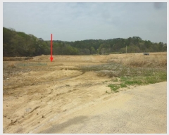  2024Ÿ2915  ֱ »  207      ()