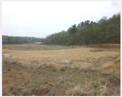  2024Ÿ2915  ֱ »  207      ()