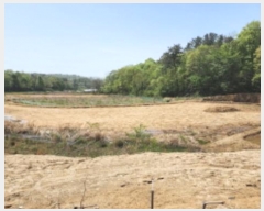  2024Ÿ2915  ֱ »  207      ()