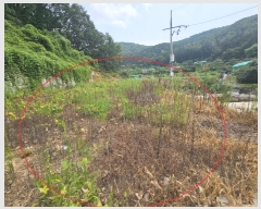  2024Ÿ6702 泲  ϸ 뼮 95-14      (Ӿ)