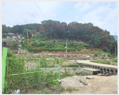  2024Ÿ6702 泲  ϸ 뼮 95-14      (Ӿ)