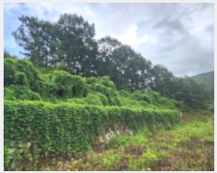  2024Ÿ6702 泲  ϸ 뼮 95-14      (Ӿ)