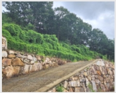  2024Ÿ6702 泲  ϸ 뼮 95-14      (Ӿ)