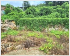  2024Ÿ6702 泲  ϸ 뼮 95-14      (Ӿ)