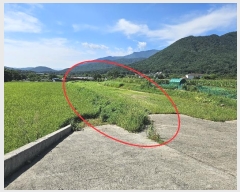  2024Ÿ6863  ֱ ϸ Ÿ 513-1      ()