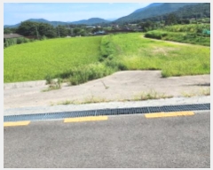  2024Ÿ6863  ֱ ϸ Ÿ 513-1      ()