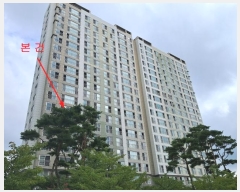  2024Ÿ7576  ߱  245, 309 8801ȣ (,ϸǶ3)    Ʈ