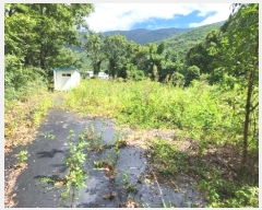  2024Ÿ��7781  �����