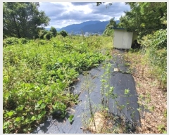  2024Ÿ��7781  �����