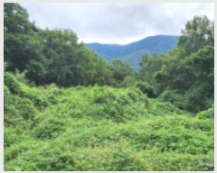  2024Ÿ��7781  �����