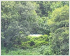  2024Ÿ��7781  �����