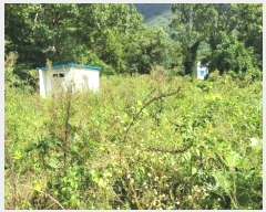  2024Ÿ��7781  �����