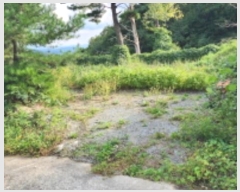  2024Ÿ��7880 ��� ���ֱ� ��ϸ� ������ 621-1      ����(����)���