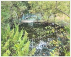  2024Ÿ��7880 ��� ���ֱ� ��ϸ� ������ 621-1      ����(����)���