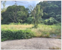  2024Ÿ��7880 ��� ���ֱ� ��ϸ� ������ 621-1      ����(����)���