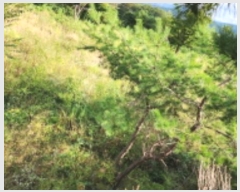  2024Ÿ��7880 ��� ���ֱ� ��ϸ� ������ 621-1      ����(����)���