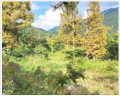  2024Ÿ��7880 ��� ���ֱ� ��ϸ� ������ 621-1      ����(����)���