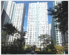  2024Ÿ7989 泲   145, 108 232301ȣ (,ѻäƮ)    Ʈ