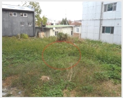  2024Ÿ9114  ֱ ﳲ  1604-9      ()