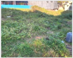  2024Ÿ9114  ֱ ﳲ  1604-9      ()