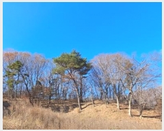  2024Ÿ��9510 ��� ���ֱ� ��ϸ� ������ ��158      ����(�Ӿ�)���