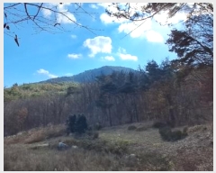  2024Ÿ��9510 ��� ���ֱ� ��ϸ� ������ ��158      ����(�Ӿ�)���