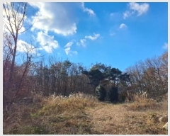  2024Ÿ��9510 ��� ���ֱ� ��ϸ� ������ ��158      ����(�Ӿ�)���