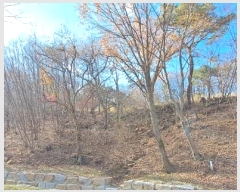  2024Ÿ��9510 ��� ���ֱ� ��ϸ� ������ ��158      ����(�Ӿ�)���