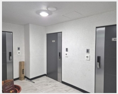  2024Ÿ��9770 �泲 ���� ����12�� 10, 8��805ȣ (���赿,������Ͼ��̺�1���ְ��๰��1��)     ����Ʈ���