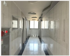  2024Ÿ��10015  ���ڽü����