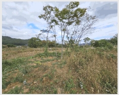  2024Ÿ��116876 ��� ���ֱ� ����� ������ 783-2      ��,�繫�ǰ��