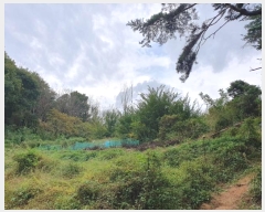  2024Ÿ117206  ߱ ȵ 1196-2       (1)