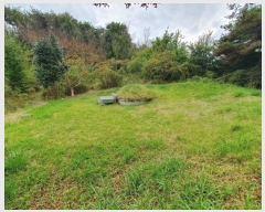  2024Ÿ117206  ߱ ȵ 1196-2       (1)