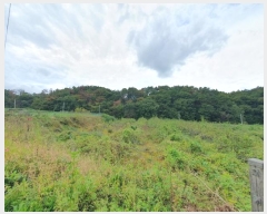  2024Ÿ117206  ߱ ȵ 1196-2       (1)