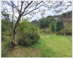  2024Ÿ117206  ߱ ȵ 1196-2       (1)