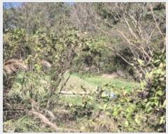  2024Ÿ117206  ߱ ȵ 1196-2       (1)