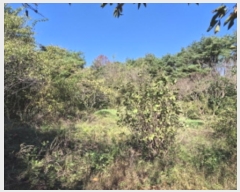  2024Ÿ117206  ߱ ȵ 1196-2       (1)