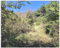  2024Ÿ117206  ߱ ȵ 1196-2       (1)