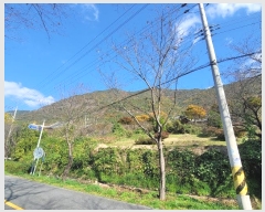  2024Ÿ��118124 �泲 ���� ������ ��縮 ��217      ����(�Ӿ�)���