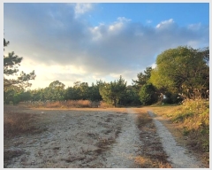  2024Ÿ118568 泲   71-12       (Ӿ)