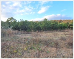  2024Ÿ118568 泲   71-12       (Ӿ)