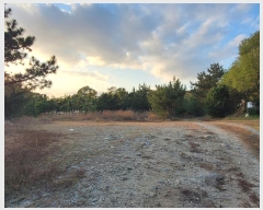  2024Ÿ118568 泲   71-12       (Ӿ)