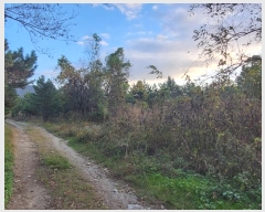  2024Ÿ118568 泲   71-12       (Ӿ)