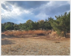  2024Ÿ118568 泲   71-12       (Ӿ)